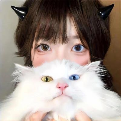 对一个不容怀疑的公民的调查