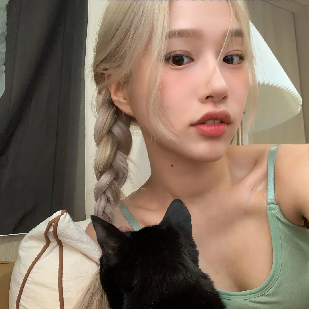 律政新人王2国语